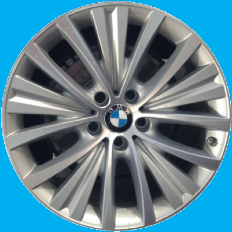 2014-2018 BMW X5 19" OEM Rim